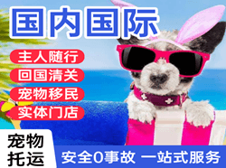 乌鲁木齐航空邮寄国际宠物托运 【国